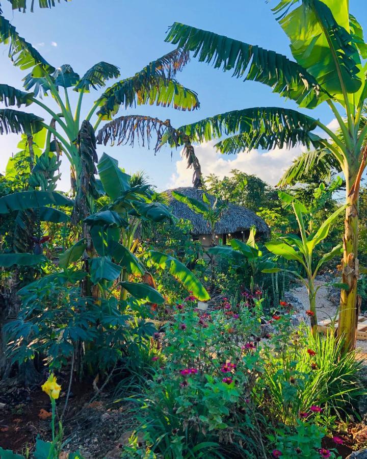 Vila Guaiguei Bayahibe Exteriér fotografie